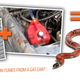 Illustration for article titled That Video Of The Guy Running His Truck On Gas Fumes Is Bullshit